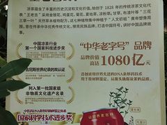 -广州神农草堂中医药博物馆