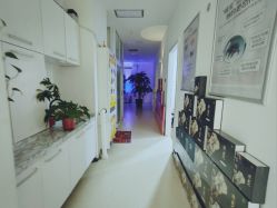 -黎蓓露·徒手骨雕蛋白抗衰·调肤管理