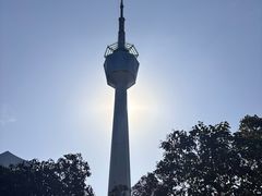 -陕西自然博物馆