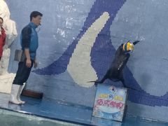 -左海海底世界
