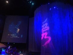 -水秀国际大剧院