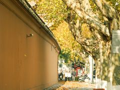 -苏州文庙(姑苏区)