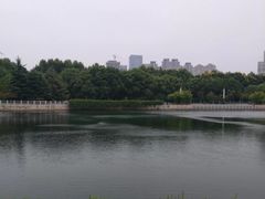 -后襄河公园