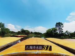 -陶辛水韵