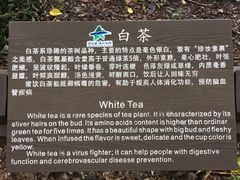 -宝岩生态观光园