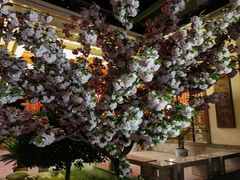 -华山御温泉度假村