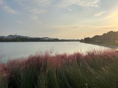 -羊山湖公园