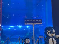 -成都浩海立方海洋公园