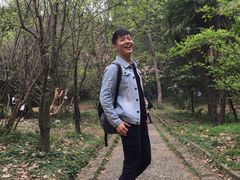 -武汉大学-樱园