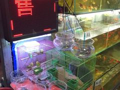 -大学城夜市大排档(凤栖路店)