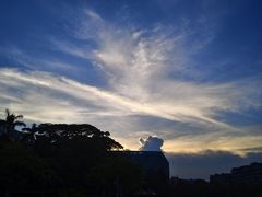-仙岳公园