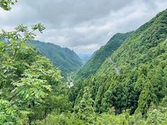 -娄山关景区