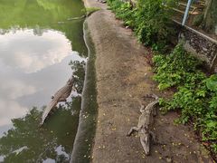 -广州长隆飞鸟乐园