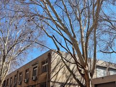 -山东师范大学(千佛山校区)