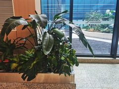 -杭州萧山国际机场