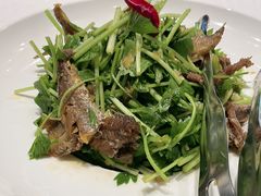 -海派美食·家宴海鲜青岛菜·石锅鲽鱼头(东方城店)