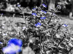 -中南财经政法大学(首义校区)