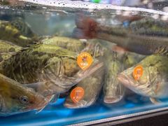 -盒马鲜生(皇庭广场店)