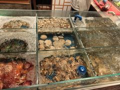 -盐城万豪酒店-盐城厨房西餐厅