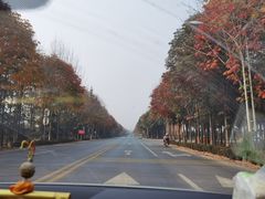 -法门文化景区