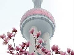 -东方明珠广播电视塔