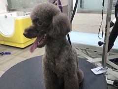 -暖阳宠物医院·犬猫康复中心·骨科