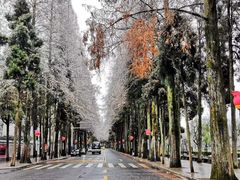 -井冈山风景名胜区