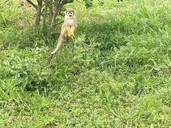 -合肥野生动物园