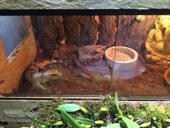 -Rabbit Cafe私房西餐甜点咖啡(栖霞路店)