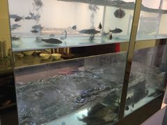 -小乡小镇·传承桐庐土菜·老板亲自烧的菜