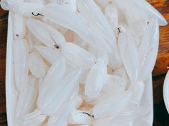 鲮鱼泡-章记正宗南岗鱼蛋火锅