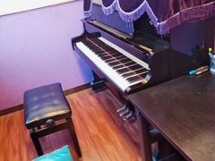 -弘智卉艺术教育/高端琴房(中央音乐学院店)