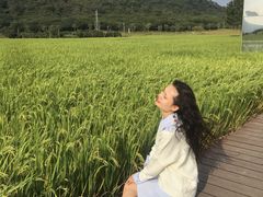 -风云岭森林公园