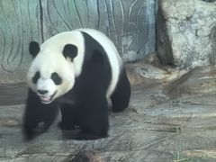 -海南热带野生动植物园