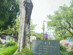 -江心屿景区