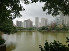 -四海公园(南山区)