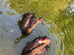 -瑞博尔花园酒店(太周创新产业园店)