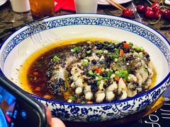 豉汁盆龙鳝-小粤楼·怀旧粤菜(万辉国际广场店)