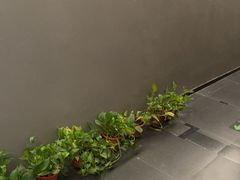 -耳妃躺式采耳SPA馆