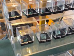 -房山世界地质公园博物馆