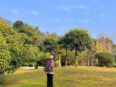 -中铁花水湾温泉酒店(大邑店)