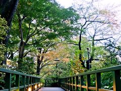 -三鹰之森吉卜力美术馆