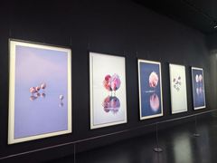 -罗红摄影艺术馆