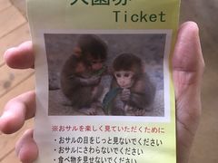-岚山猴子公园