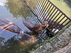 -海南热带野生动植物园