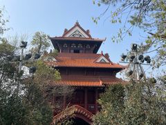 -东湖生态旅游风景区