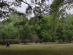 -采石矶景区