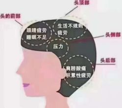 点击看大图 -舒欣头疗·俏丝谧语 白发脱发专业护理
