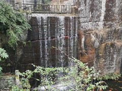 -千岛湖东南湖区
