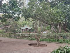-九龙公园